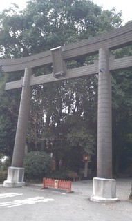 IMAG0021.jpg