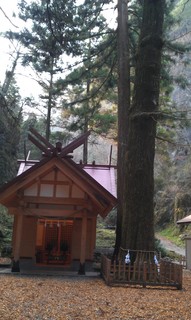 IMAG0023.jpg