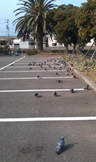 IMAG0046.jpg