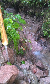 IMAG0273.jpg