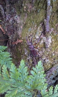 IMAG0288.jpg