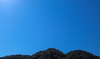IMAG0398.jpg