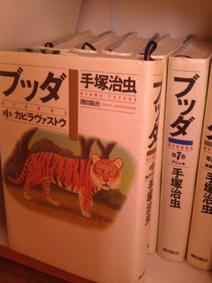 IMG_20130212_154714.jpg