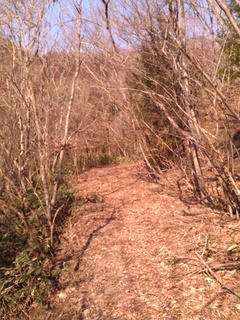IMG_20130223_103557.jpg