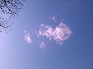 IMG_20130304_102901.jpg