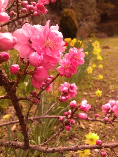 IMG_20130404_114819.jpg