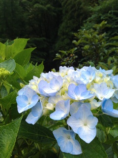 IMG_2013_110843.jpg