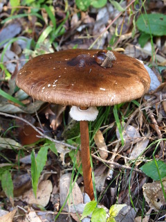 PA300423.JPG